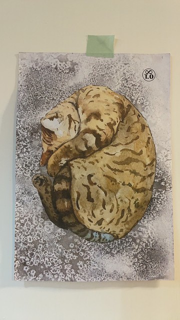 T.O動物插畫明信片/卡片/無框畫