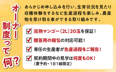 マンゴーの木オーナー制度 宮崎マンゴー 完熟 果物