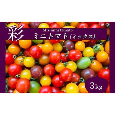 ふるさと納税 サザキ農園　ミニトマト彩りセット（ミックス）　3kg 熊本県玉名市