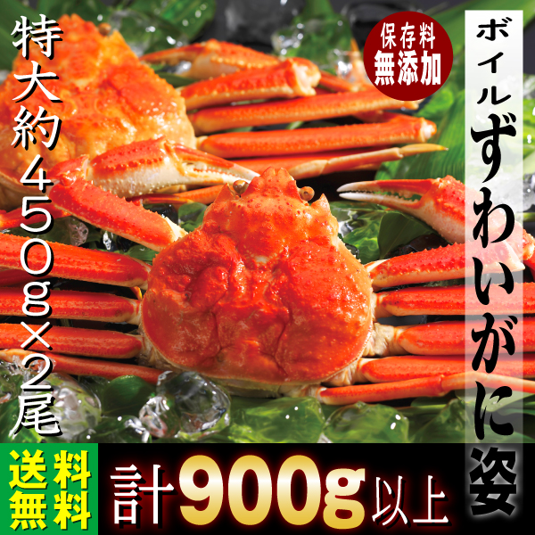 蟹 カニ ズワイガニ姿 ボイル ６Ｌ ２尾 900g ギフト