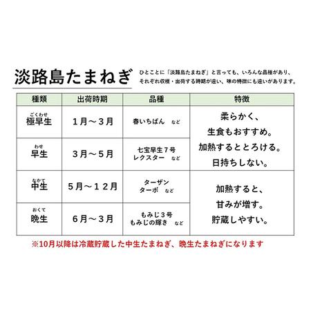 ふるさと納税 ほんまもん淡路島野菜BOX（大）2023年10月以降出荷 兵庫県