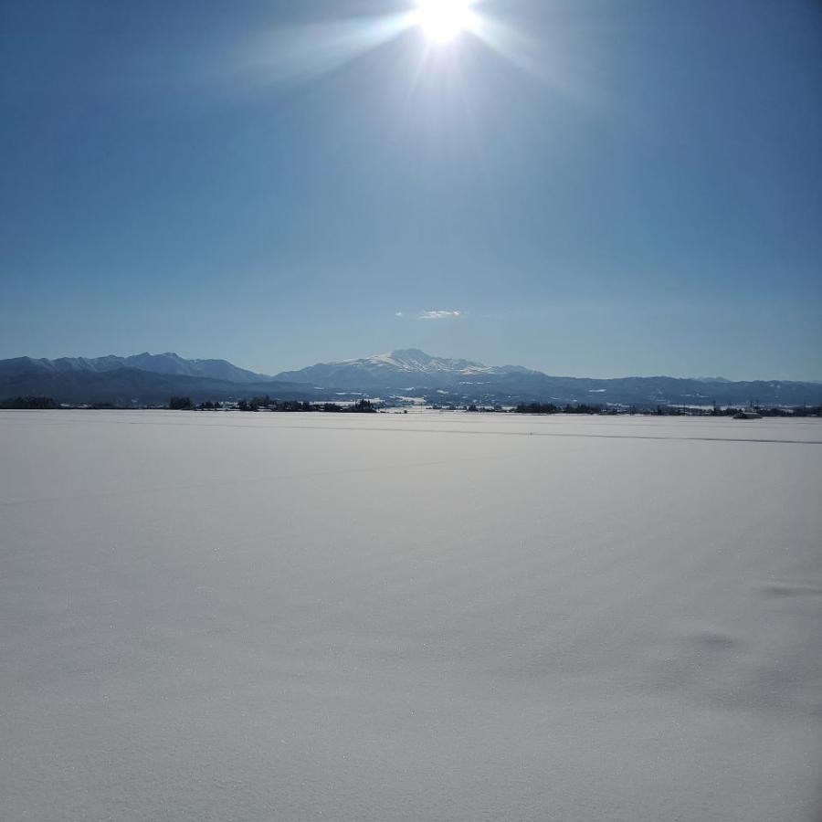 令和5年産 新米 山形県 庄内産 雪若丸 特別栽培 玄米 10kg 斎藤農場