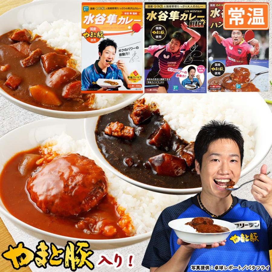 水谷隼 レトルトカレー 3種 NS-BE [常温] レトルト レトルト食品 カレー ハヤシライス セット 食品 常温保存 常温保存できる ご飯のお供 お取り寄せ