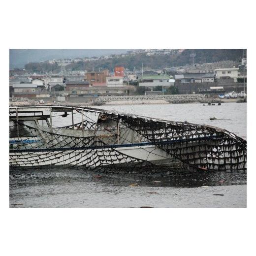 ふるさと納税 大阪府 阪南市 河幸海苔 大阪のり 泉州のり 無添加 味付け海苔 ３個セット_KK01