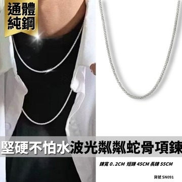蛇骨項鍊 素鍊 蛇鏈 不褪色 可碰水 抗過敏 蛇骨 男 女 鈦鋼 銀色 不鏽鋼 現貨 細項鏈 波光粼粼 閃耀 SN091