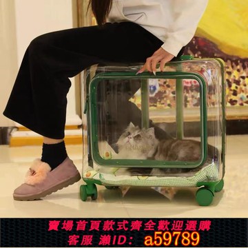 【全網低價 可打統編】寵物拉桿箱透明外出貓包狗包雙肩包超大號容量可兩只多貓咪行李箱