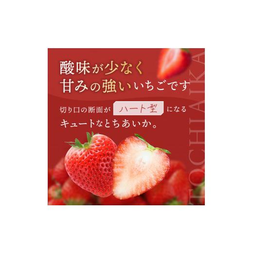 ふるさと納税 栃木県 真岡市 朝採れのいちご とちおとめ 2000g 真岡市 栃木県 送料無料