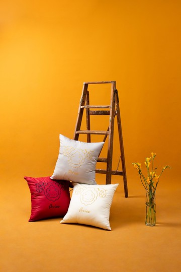 星座系列-牡羊座靠墊 40x40cm /三色(預購)