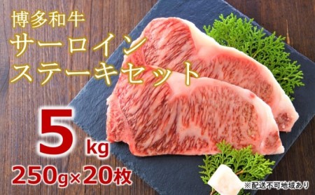 牛肉 サーロインステーキ 合計5kg 博多和牛 A4～A5 セット 250g×20枚 配送不可：離島