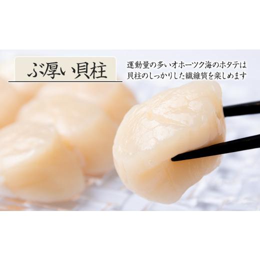 ふるさと納税 北海道 浜頓別町 ほたて 貝柱 大粒 冷凍 500ｇ(20〜25粒前後)×3パック お取り寄せ 刺身  《横田水産》