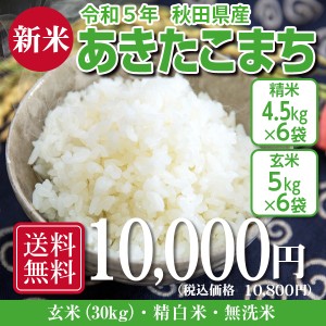 送料無料！！　あきたこまち 玄米30kg（精米後27kg） 令和5年秋田県産