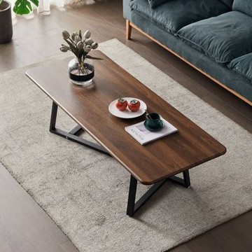 茶几100x60x45cm 現代輕奢茶几桌 客廳家用茶桌 小戶型茶臺 辦公室小桌子 簡約現代茶几 簡易長條桌