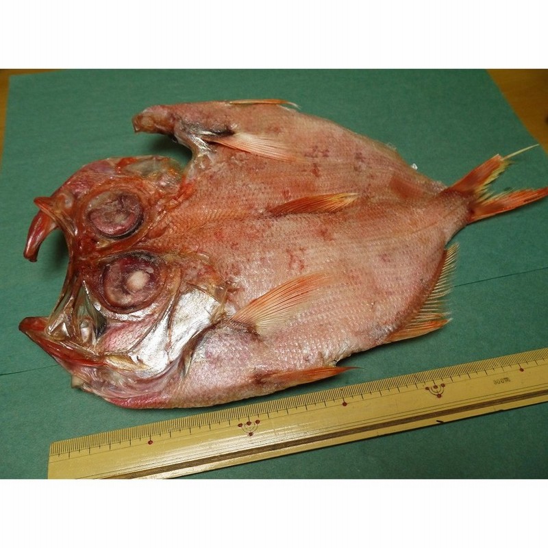 金目鯛 干物 ジャンボ 特大 お祝い 業務用 全長30cmほど ジャンボキンメダイ一夜干し 5枚 通販 Lineポイント最大0 5 Get Lineショッピング