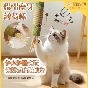 🌟台灣現貨 🐾巨無霸貓薄荷棒 蟲癭果薄荷棒 逗貓神器 貓咪自嗨解悶玩具 貓咪磨牙玩具 貓咪潔牙棒 寵物玩具 貓咪清潔牙垢