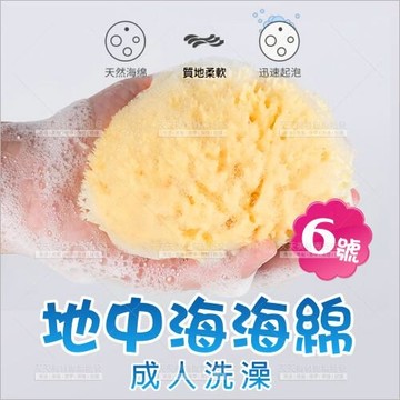 洗臉超潔淨地中海天然海綿-單入(6號)[90181] 成人洗澡適用