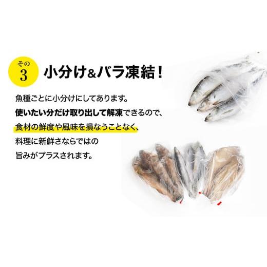 ふるさと納税 北海道 鹿部町 北海道産 冷凍鮮魚セット 最大3.2kg 「漁師応援プロジェクト！」 下処理済み 冷凍 鮮魚 海鮮 海産 地元