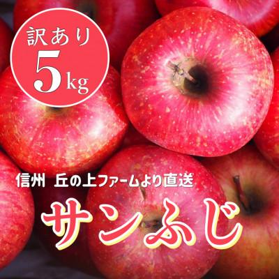 ふるさと納税 豊丘村 甘〜い!訳あり「サンふじ」約5キロ 丘の上