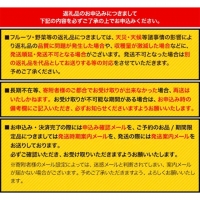 南阿蘇オーガニック 旬の野菜セット10種類以上詰め合わせ《30日以内に順次出荷(土日祝除く)》熊本県 南阿蘇村 野菜 カブ ビーツ サニーレタス クレソン ブロッコリー 水前寺菜 ほうれん草２種 チンゲン菜 春菊 スイスチャード