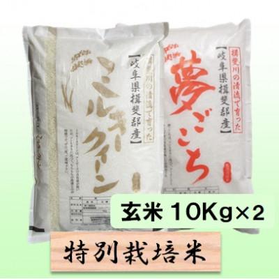 ふるさと納税 池田町 特別栽培米 20kg(ミルキークイーン 夢ごこち)