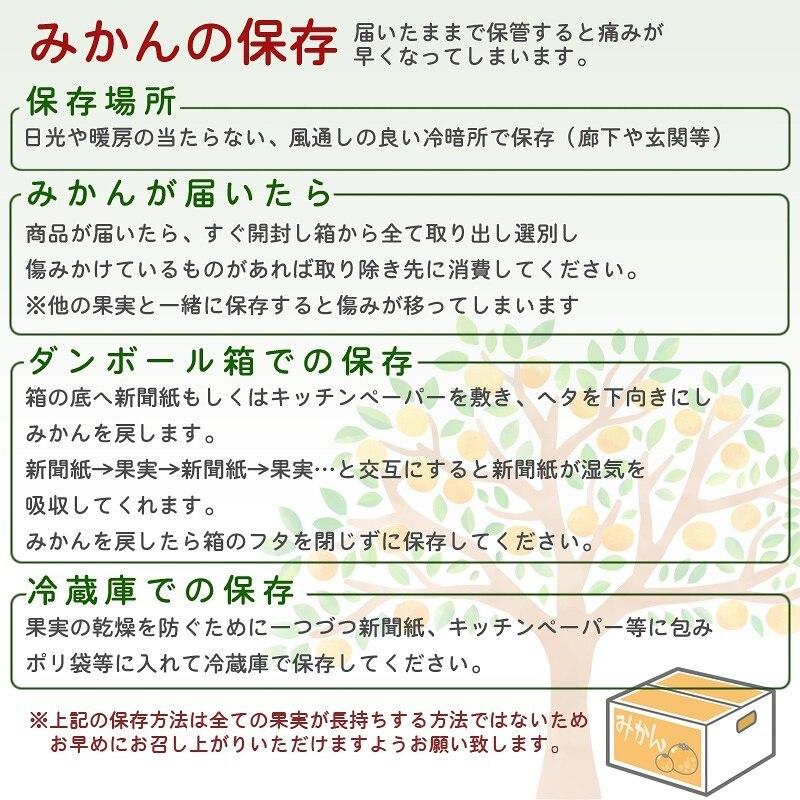 みかん 10kg（箱込約10kg） 和歌山県産 訳あり・ご家庭用 送料無料（東北・北海道・沖縄県除く）