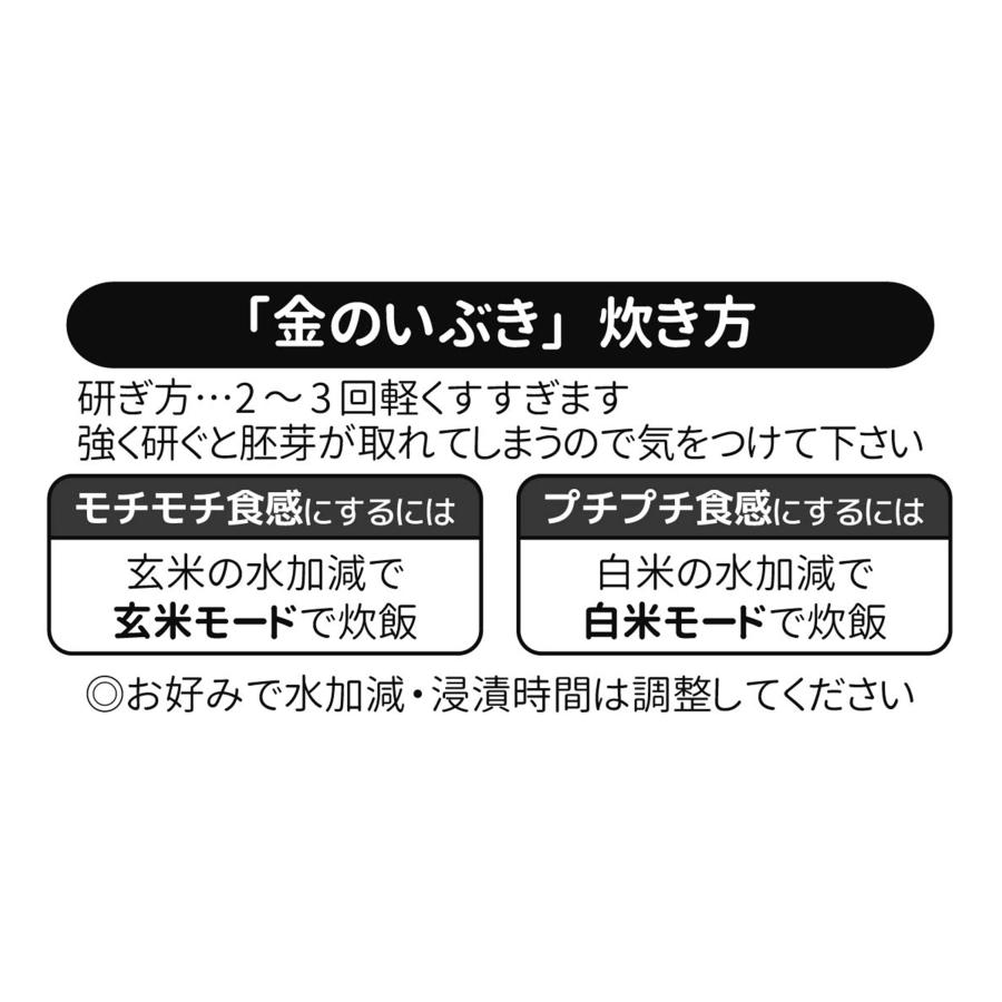 金のいぶき 玄米 5kg 令和4年産 玄米ダイエット 玄米食専用米 宮城県