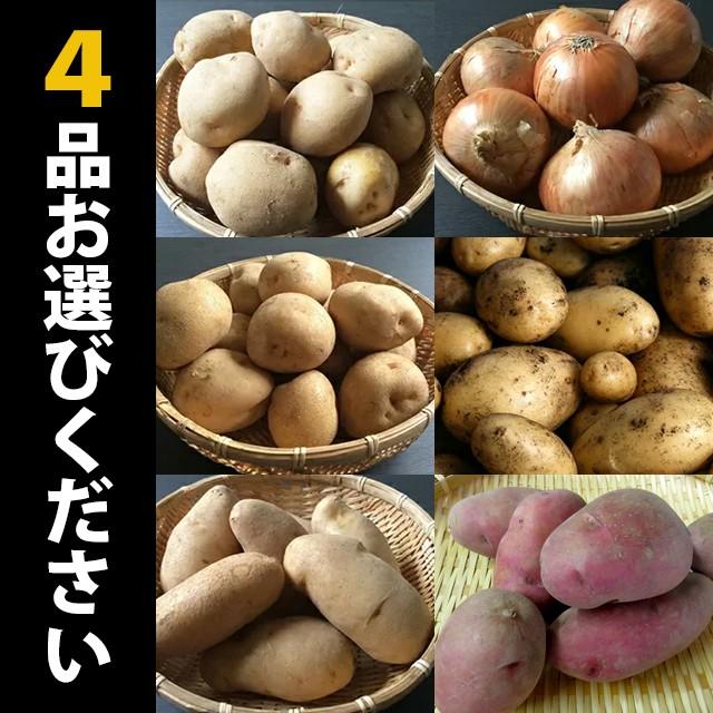 今季出荷開始中！ 新じゃがいも 送料無料 市場の目利きが選んだ「北の厳選野菜」選べる4品セット   新じゃが 男爵 キタアカリ メークイン レッドムーン インカ