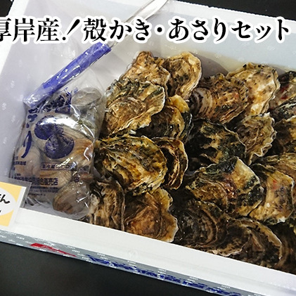 牡蠣 厚岸産 殻かき  あさり セット