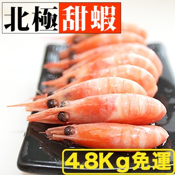 免運優惠！南海豐【北極甜蝦】4.8kg共8包 甜蝦高品質，蒸熟急凍，海鮮 蝦子/北極蝦/非南極蝦