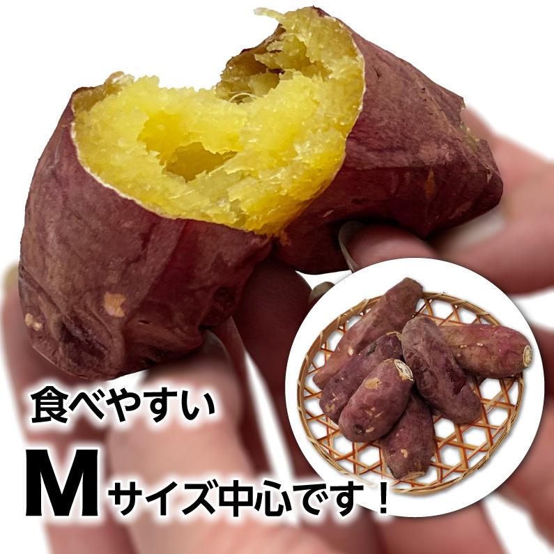 焼き芋 冷凍 紅はるか 冷やし焼き芋 鹿児島県産 Aランク 完熟紅はるか焼き芋 1.5kg（500g×3袋）ギフト クール