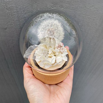 蒲公英圓舞曲 音樂盒 玻璃原木花盅 永生花 旋轉八音盒