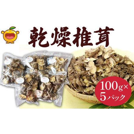 ふるさと納税 乾燥椎茸 訳あり 椎茸100g×5パック 干し椎茸 しいたけ 乾燥しいたけ 原木 大分県 津久見市 九州産野菜 大分県津久見市