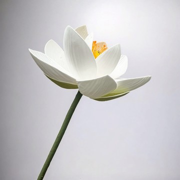 FLORAL M 日式上野公園典雅白荷花仿真花花材  1個  白色