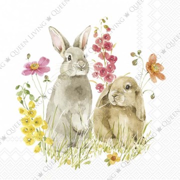 德國 IHR-33*33cm餐巾紙-跳上春天