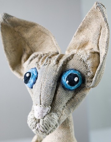 斯芬克斯貓由 KTZAY 33 厘米