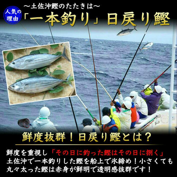 土佐久礼 藁焼き鰹たたきセット（国産うなぎ・うつぼのたたき  誕生日 ギフト