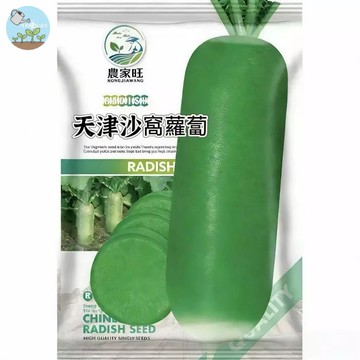 【原廠包裝】天津沙窩蘿蔔種子（Tianjin Sawi Radish）500粒裝 水果蘿蔔 脆甜多汁 生吃涼拌首選