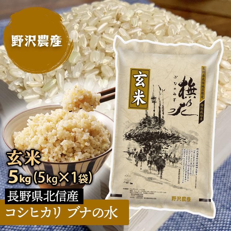 新米 令和5年産 玄米 5kg 送料無料 米 お米 コシヒカリ こしひかり 特別栽培米 野沢農産 長野県産 北信産 5キロ ブナの水