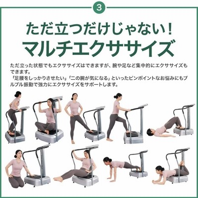 振動マシン Crazy Fitness Plus クレイジーフィットネスプラス 乗る