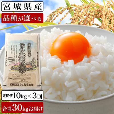 ふるさと納税 石巻市 令和5年産ヨシ腐葉土米 精米30kg(10kg×3回発送)ひとめぼれ