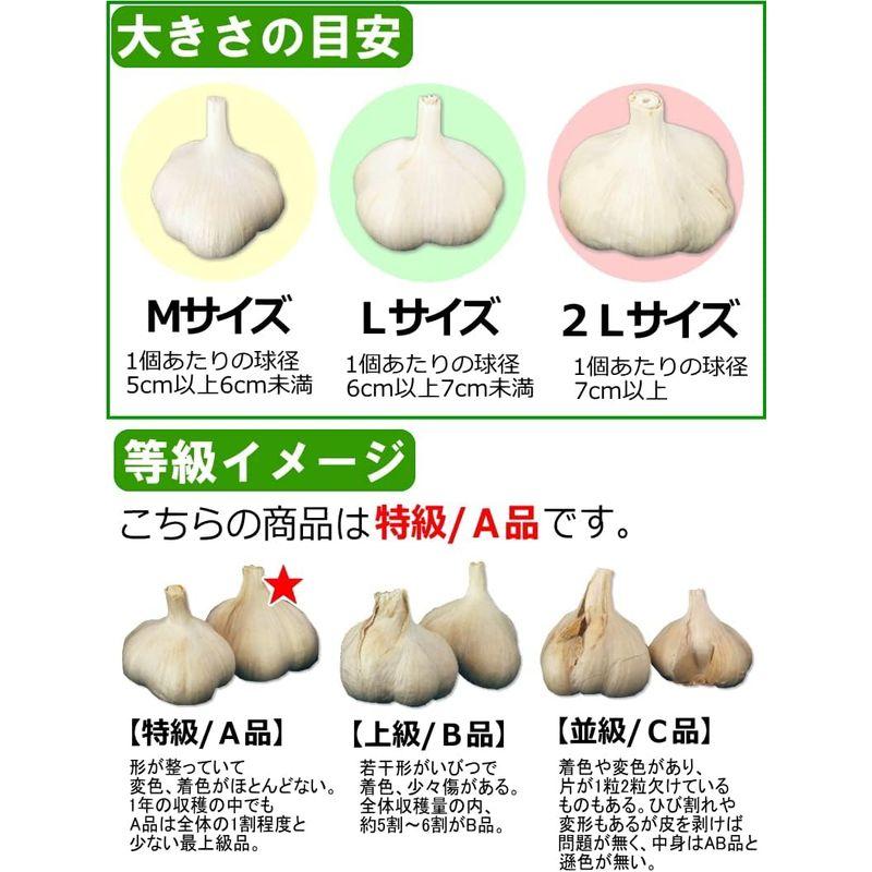 青森 にんにく 1kg A品 Lサイズ 国産 ニンニク 青森期待の新人商店