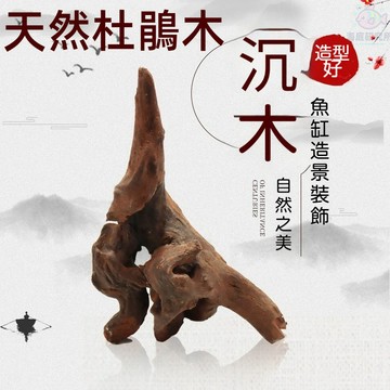 魚缸沉木造景 天然沉木杜鵑根 微景觀鐵蘭裝飾 魚缸裝飾沉木 爬蟲箱裝飾 杜鵑根 沉木裝飾 水生植物沉木