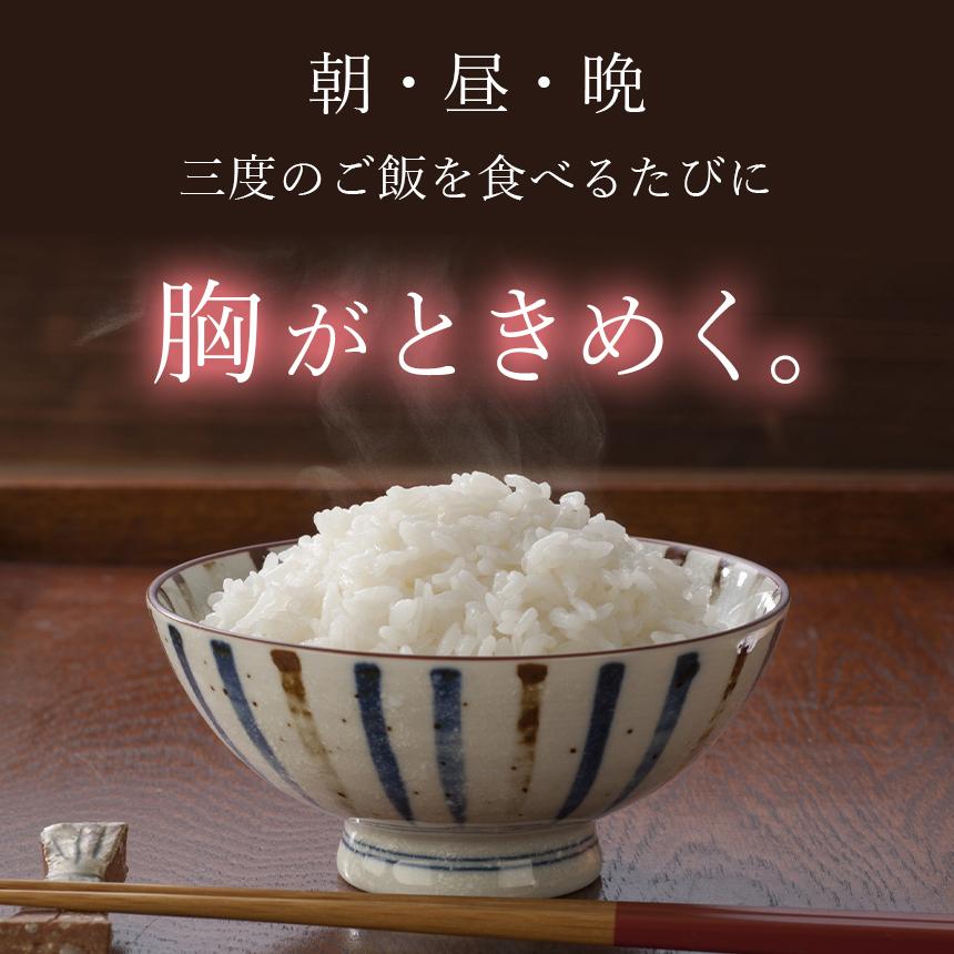 熊本県産 三度のときめき 4kg ヒノヒカリ お米 精米 白米 2kg×2袋  国産 保存用チャック付き