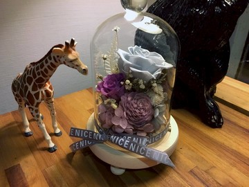 綺思永生花玻璃盅  母親節 婚禮 開幕 新居 櫃檯擺飾 辦公室