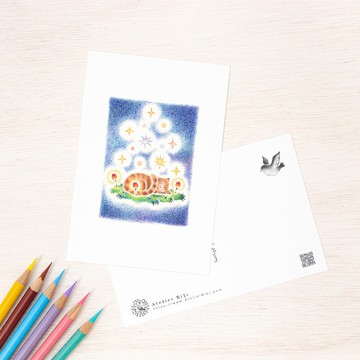 5張一組。如同繪本般。明信片 「貓咪小柴的夜晚夢境」 PC-128