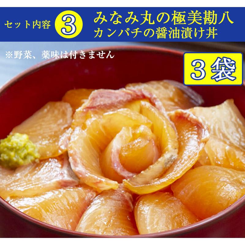 土佐の海鮮丼4種12袋セット（鯛、サバ、カンパチ、ブリ 各3袋）ぶっかけ漬け丼 宇佐もん工房 お歳暮 のし対応可