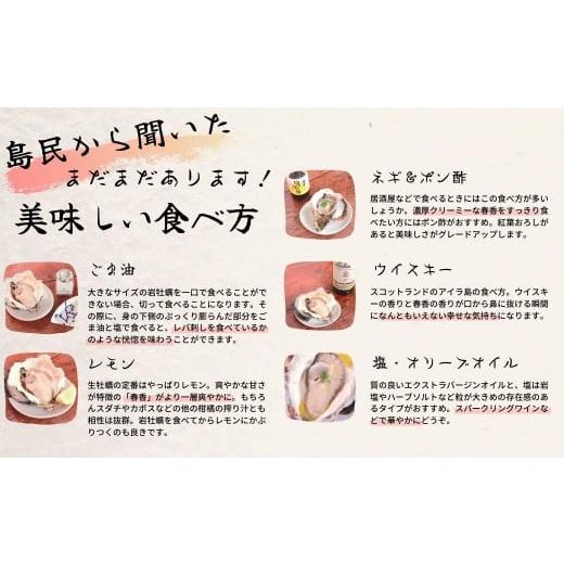 ふるさと納税 島根県 海士町 生のいわがき春香 Sサイズ6個  生牡蠣 牡蛎 牡蠣 かき 岩牡蠣 生食可能 冷蔵