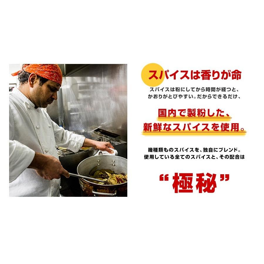 カレー インドカレー 選べる2食セット 送料無料 お試し レトルト 神戸アールティー セール