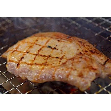 ふるさと納税 塩麹につけたよさこい尾鶏と力豚のBBQセット 高知県大月町