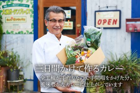 手作りカレーとサラダ野菜セット（半年パスポート）