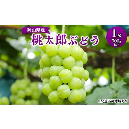 ふるさと納税 ぶどう 2024年 先行予約 桃太郎 ぶどう 1房700g以上 ブドウ 葡萄  岡山県産 国産 フルーツ 果物 ギフト 岡山県岡山市